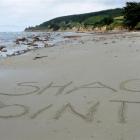 The beach can be crammed with people one day and desolate the next, such is life at Shag Point....