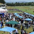 The crowd takes in race 2 during Saturday's New Year's Day race meeting at Waikouaiti. Photo by...