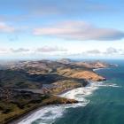 The Department of Conservation and Dunedin City Council are considering if and where they should...