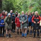 The Dunedin 60+ tramping club members  on their weekly tramp in Dunedin yesterday, as they...