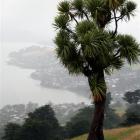 The Dunedin City Council  is on the hunt for the perfect camping ground on  Otago Peninsula....