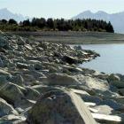 The exposed shoreline of Lake Pukaki. Photo by Gerard O'Brien.