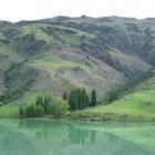 The higher-than-usual spring rainfall in Central Otago has turned usually barren hills green,...