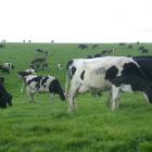 The increased payout forecast for Fonterra suppliers could mean an end to the recent price slump....