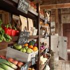 The interior of Steve and Heather Wilkins' vege shed.