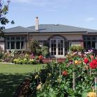 The Invercargill garden of show convener Walter Jack and his wife Kathleen is bright with dahlias...