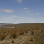 The Lammermoor Range, site of proposed Project Hayes wind farm. Photo by Gregor Richardson.
