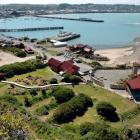 The  little blue penguin colony at Oamaru Harbour. Photo by Stephen Jaquiery.