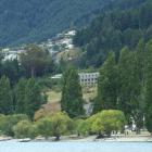 The Lombardy poplars are clearly seen from Queenstown Bay near the Bathhouse. Photo by Christina...