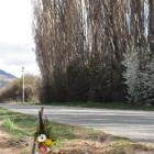 The memorial to Russell Liggett opposite the row of old poplar trees. Photo by Tracey Roxburgh.