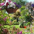 The Milton garden of Bev and Paul Ashley delights. Photos by Gillian Vine.