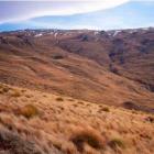 The Old Man Range near Alexandra, where Emmanuel Honiss spent a cold night last weekend after...