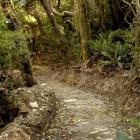 The Otago Natural History Trust is seeking funding from the Otago Regional Council for a new...