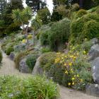 The rock garden at Dunedin Botanic Garden. Photo by Gerard O'Brien.