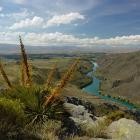 The Roxburgh Gorge, looking towards Alexandra from Flat Top Hill. Photo by Barrie Wills.