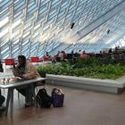 The Seattle Library has a double-glazed, tinted shell which allows extensive natural light;...