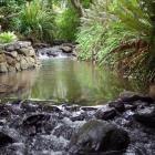 The stream that divides Harold and Pam Woods' property has been incorporated into the garden plan...