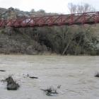 The swollen Manuherikia River at the Daniel O'Connell bridge near Ophir yesterday afternoon....