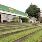 The terraces outside Sunnyvale Sports Centre are set to be lined with salvaged Carisbrook seats...