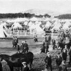 Thousands of visitors from the city to the camp at Tahuna Park evinced keen interest in the...