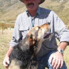 Tony Wall with Dame at the Omarama dog trials yesterday.