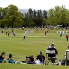 Top-level cricket will not be played at Molyneux Park this summer.