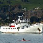 Townsend Cromwell on Otago Harbour after trials yesterday. Photo by gerard O'Brien.