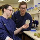University of Otago assistant research fellow Rebekah Frampton and molecular microbiologist Dr...