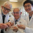 University of Otago chemistry researchers (from left) Prof Lyall Hanton, Emeritus Prof Brian...