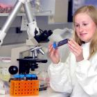 University of Otago researcher Cynthia Winkworth examines a sample, with giardia infection. Jane...