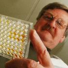 University of Otago researcher Prof Frank Griffin scans the results of a paralisa test which...