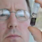 University of Otago's Dr Andrew Cridge examines soil taken from Carisbrook. Photo by Craig Baxter.