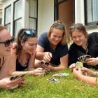 University of Otago students and friends (from left) Brydie McGrath (21), Leiana Hayward (21),...