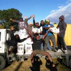 Vanuatuan men employed at Hinton's Orchard with rice their employer donated for the relief effort...