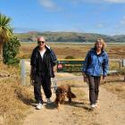 Visiting Aramoana salt marsh with their dog Molly are David and Gillian Elliot, of Port Chalmers,...