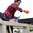 Visitor services officer Summer Zhang feeds the "clever" goldfish at the Chinese Garden, in...