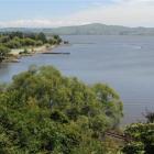 waihola_tomahawk_algal_bloom_toxic_to_humans_fatal_50c0720b52.JPG