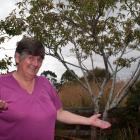 Waikouaiti resident Laurol Chadwick is bewildered by the theft of almost her entire crop of black...