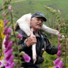 Waitahuna farmer and passionate hunter, Dave Shaw, is inviting young hunters on to his property...