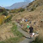 Wakatipu volunteers flocked to the latest Lake Hayes planting day on April 28 as part of Project...