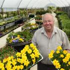 Wal's Plant Land owner Clive Wallis is turning his Mosgiel business venture into a destination....