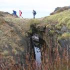 Walkers enjoy the Catlins Great Escape Coastal Walk in the south Catlins on Saturday. Photo by...