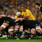 Wallabies halfback Will Genia feeds the scrum during the Rugby Championship Bledisloe Cup match....