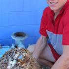 Wanaka swimming pool acting manager Dougal Allan displays an assortment of bandages and other...