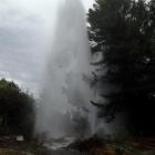 Water from a burst main sprays into the air in Alexandra  yesterday. Photos by Alan McCrostie...