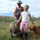Wayne Harrex  and daughter Lucy (9) with Lucy's pet kunekune boar Cuddles and Jess the dog, who...