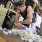 Whether growers will support  the new strong wool co-operative in sufficient numbers is still...