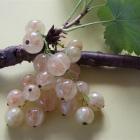 Whitecurrants. Photo by Gillian Vine.