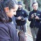 Wildlife manager Nicole Kunzmann holds Tuku before the kiwi left the park for her North Island...