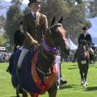 Winner of the grand champion hack competition Rebecca Pine, of Alexandra, on Farley Unique. Photo...